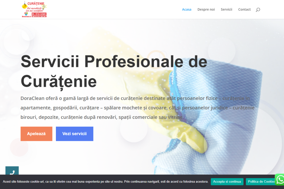 doraclean-site-screenshot